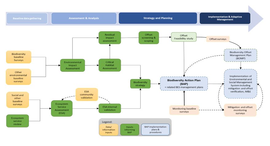 Biodiversity action plan